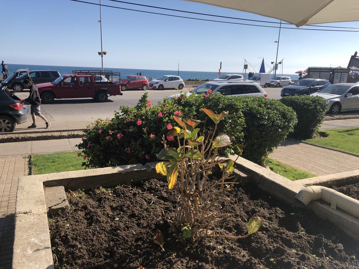 Apartamento Arriendo Renaca Chile